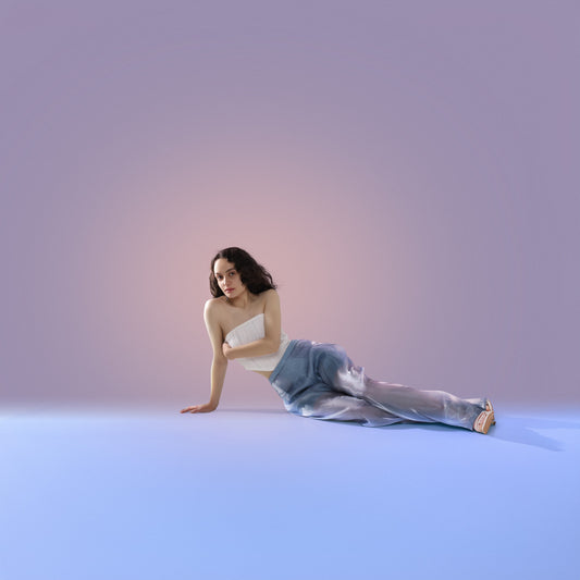 Sheer Blue Organza Trousers